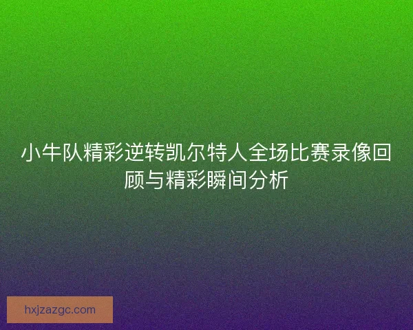 小牛队精彩逆转凯尔特人全场比赛录像回顾与精彩瞬间分析